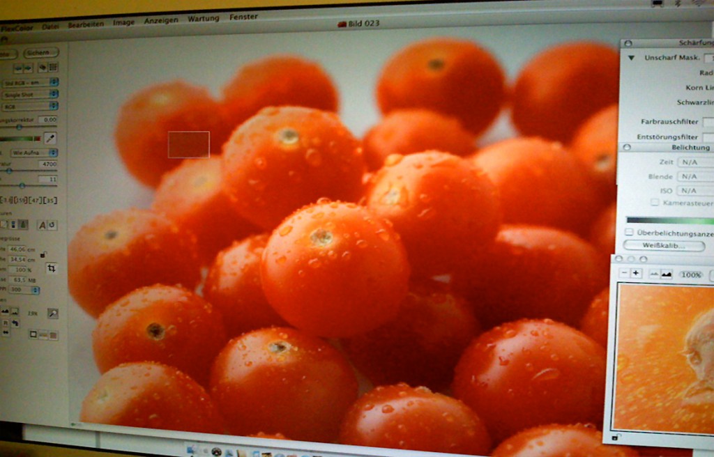 Tomatenbild Produktshooting Biegert&Funk